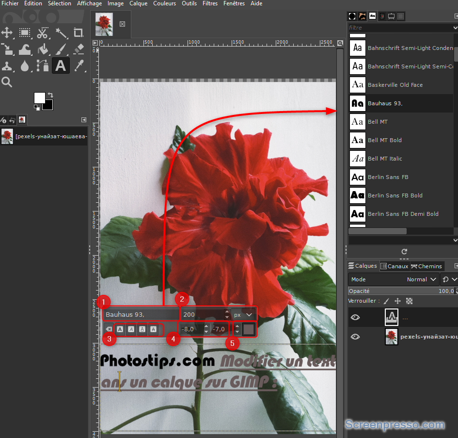 Modifier le texte sur GIMP - Photos-tips
